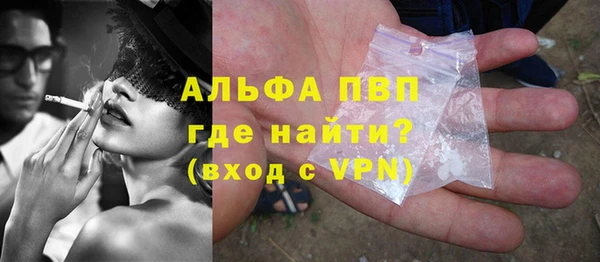 стаф Бородино