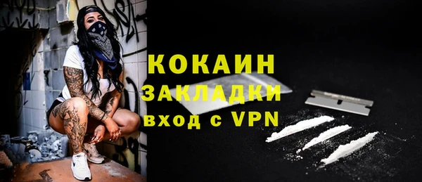 стаф Бородино