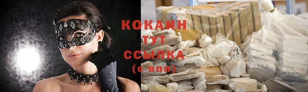 стаф Бородино