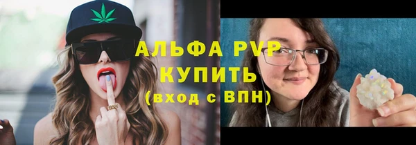 стаф Бородино