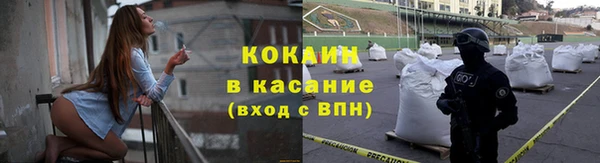 стаф Бородино