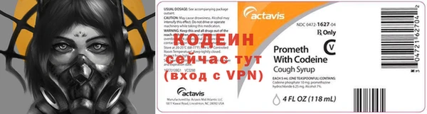 стаф Бородино