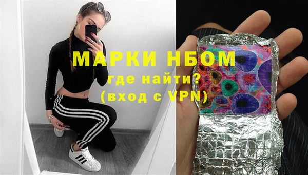стаф Бородино