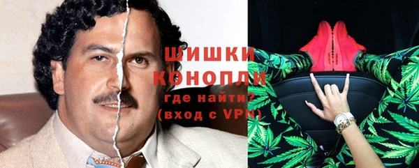 стаф Бородино