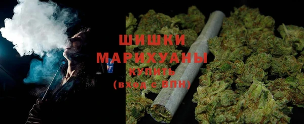 стаф Бородино